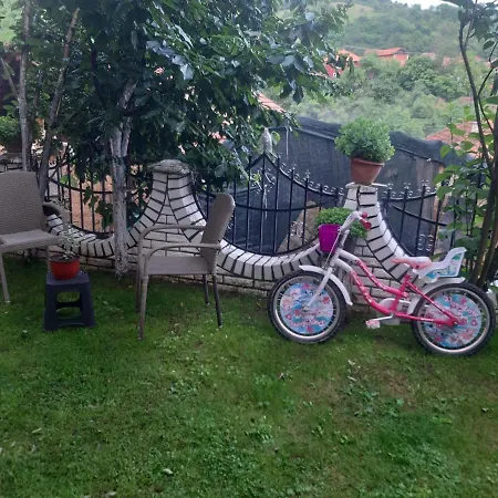 Mir Casa de hóspedes 3*